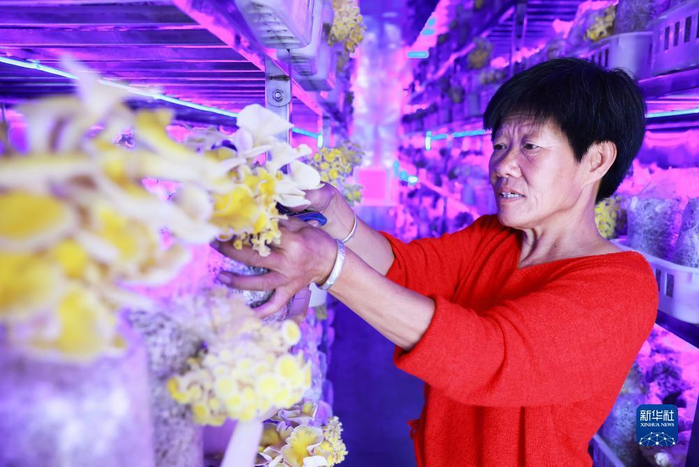 娱乐送彩金平台